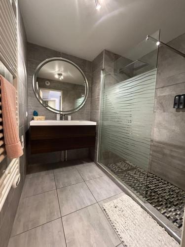 une salle de bain avec une douche, un lavabo et un miroir dans l'établissement T2 calme proche de la douane, à Ville-la-Grand