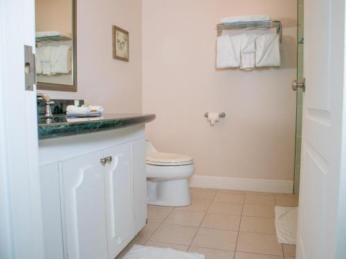a bathroom with a toilet and a sink at Princess Vegas Hotel & Casino in Corozal
