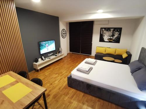 TV a/nebo společenská místnost v ubytování DJS studio Skopje