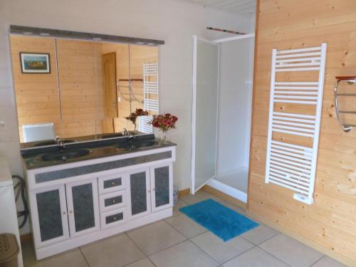 a bathroom with a sink and a mirror at Stone House in Cleder near Les Amiets Beach in Cléder