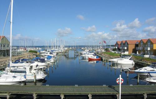 a bunch of boats are docked in a marina at Apartment Skudehavnen in Rudkøbing