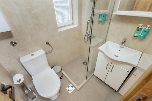 a bathroom with a shower and a toilet and a sink at All'oro in Njivice