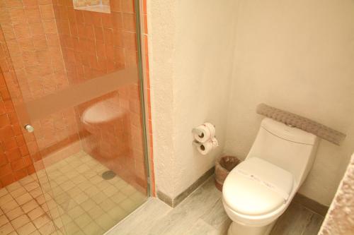 a bathroom with a shower and a toilet and a shower at Petit Mesón (Pet Friendly Hotel) in Valle de Bravo