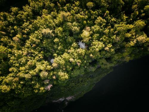 an aerial view of trees and the water at Hôtel UNIQ - Forêt Ô Cascades in Rawdon