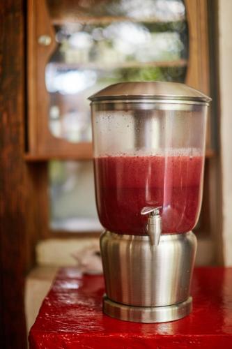 a food processor filled with red liquid on a counter at Petit Mesón (Pet Friendly Hotel) in Valle de Bravo