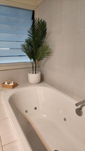 a white bath tub with a plant in a bathroom at Number 9 on Cataract in Launceston