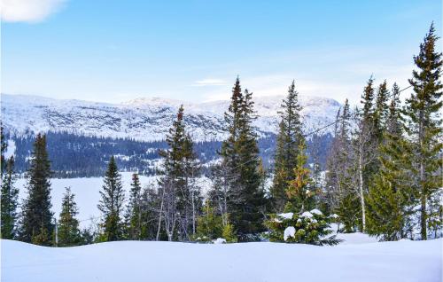 a group of trees in the snow with mountains at Cozy Home In Rjukan With Kitchen in Rjukan
