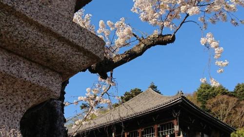 a tree with white flowers in front of a building at Nara Park Hotel in Nara