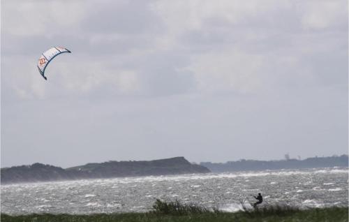 a person is flying a kite on the beach at Awesome Home In Løgstør With Sauna in Trend