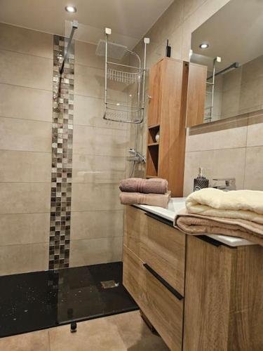 La salle de bains est pourvue d'une douche, d'un lavabo et de serviettes. dans l'établissement Charmant T1 montagnard proche parc thermal, à Saint-Gervais-les-Bains