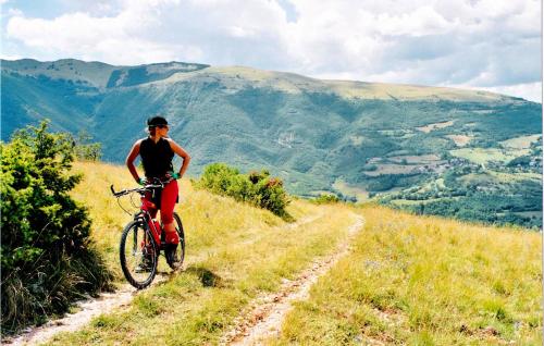 a man riding a bike on a mountain trail at Pet Friendly Apartment in Carchelli