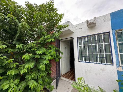 a brick building with a white door and a tree at Casa San Pedro in Los Órganos