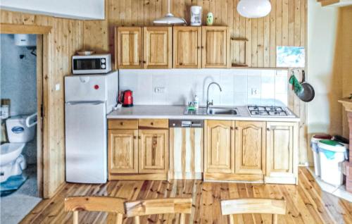 Η κουζίνα ή μικρή κουζίνα στο Stunning Home In Kopalino With Wifi