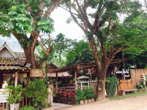 Zahrada ubytování Chiang Dao Hut