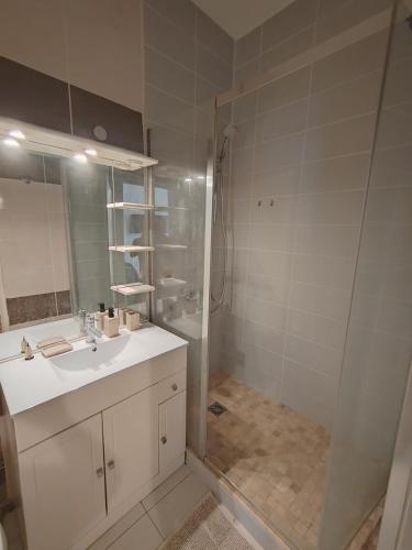une salle de bain avec une douche, un lavabo et un miroir dans l'établissement Studio Bohême, à Nîmes