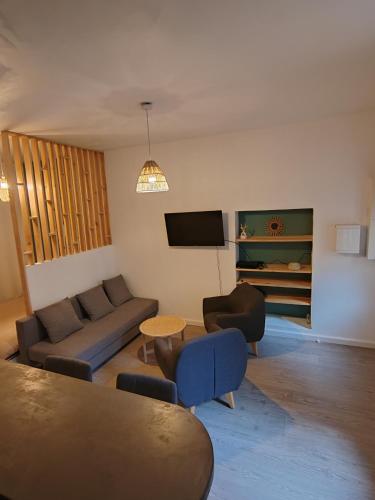 un salon avec un canapé et une télévision dans l'établissement Studio Bohême, à Nîmes