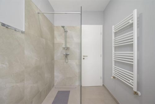 a shower with a glass door in a bathroom at Villa Putina by IstriaLux in Svetvinčenat