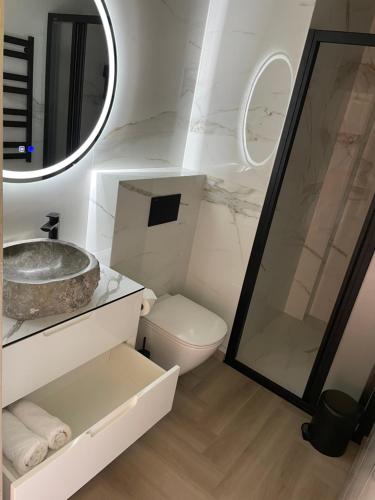 a bathroom with a sink and a toilet at Monciskes Apartment Seaside in Palanga