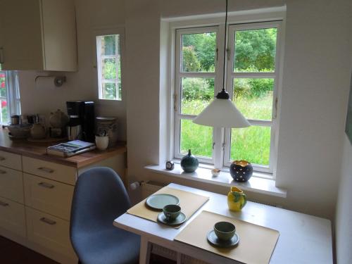 a kitchen with a table and a chair and windows at Kleines Reethaus Johannsen - mit geschmackvoller Einrichtung und tollem Garten in Silberstedt