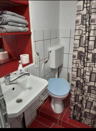 a small bathroom with a toilet and a sink at Farmec vintage2 in Cluj-Napoca