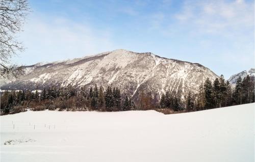 a mountain covered in snow with trees in the foreground at Ferienwohnung - Hochgallzein in Gallzein