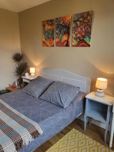 - une chambre avec un lit bleu et trois peintures murales dans l'établissement Chambre d'Hote Woody, à Chef-Boutonne