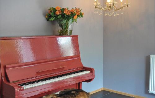 a dog sitting next to a red piano with a vase of flowers at 3 Bedroom Pet Friendly Home In Leende in Leende