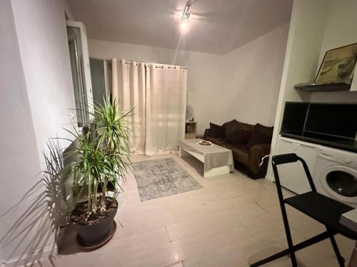 - un salon avec deux plantes en pot et un canapé dans l'établissement Beau Studio Plein Centre, à Nice