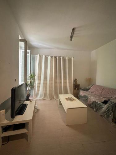 - un salon avec une télévision et un lit dans l'établissement Beau Studio Plein Centre, à Nice