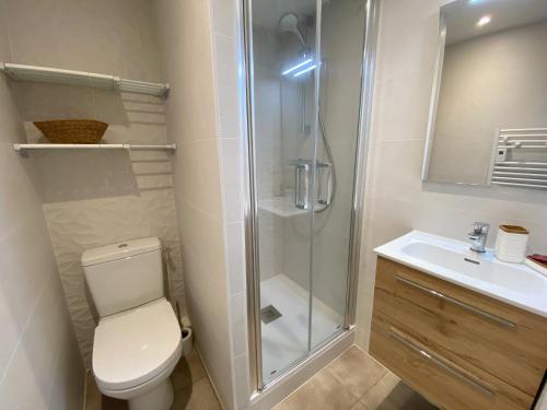 une salle de bain avec une douche, des toilettes et un lavabo dans l'établissement CALLEA - Proche Men Dû, Jardin clos - T22, à Carnac