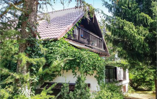 Holiday Home Dziemiany Radun