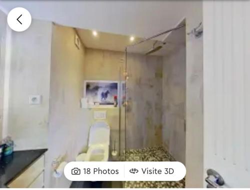 une salle de bain avec une douche avec une porte vitrée dans l'établissement Panthause avec 3 chambres à coucher pour 6 personnes, à Bourg-la-Reine