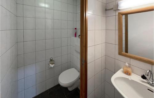 a white bathroom with a toilet and a sink at Nice Home In Zuidwolde With Wifi in Zuidwolde