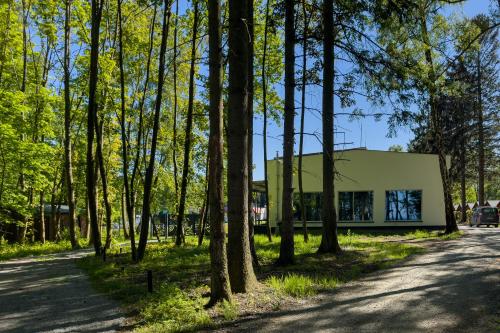 a house in the middle of a forest at WHITE HOUSE in Jastrzębia Góra