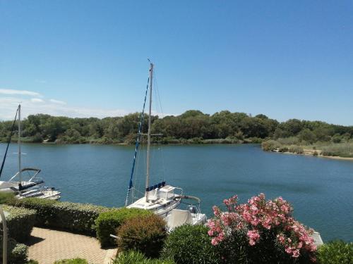 un barco está atracado en un río con flores en VUE LAGUNE ET BATEAUX A 100M DE LA PLAGE, en Saint-Cyprien