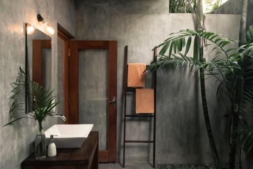 Fotografie z fotogalerie ubytování Jamu Surf Lodge v destinaci Midigama East
