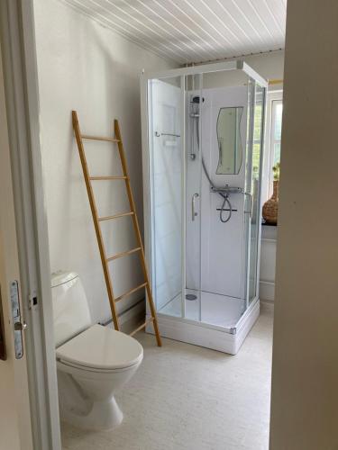 a bathroom with a toilet and a glass shower at Strandidyl Bed and Breakfast in Haderslev