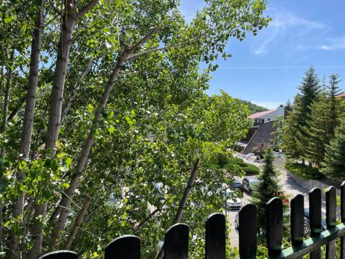 a fence with trees and a house in the background at Lola in Prolomska Banja