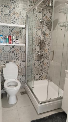 a bathroom with a shower and a toilet at Royal Vila Bozovic - G5 i G6 in Vrnjačka Banja
