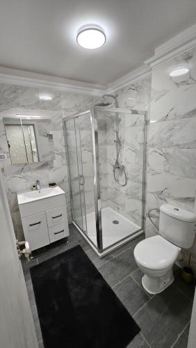 a bathroom with a shower and a toilet and a sink at Luxury 2 bed apartment by Albert in Roşu