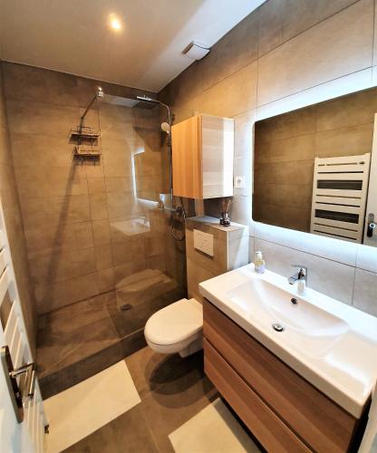 une salle de bain avec toilettes, lavabo et douche dans l'établissement Au pied des transports Appartement lumineux, à Vincennes