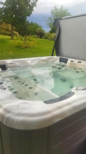 - un bain à remous avec de l'eau dans la cour dans l'établissement Chambre avec entrée indépendante dans un écrin de verdure, à Dommartin