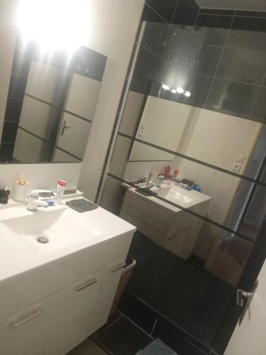 une salle de bain avec une douche, un lavabo et un miroir dans l'établissement Appartement bien situé, à Bourg-en-Bresse