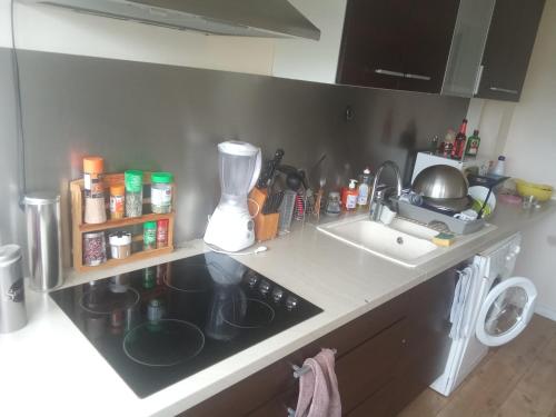 Il comprend une cuisine équipée d'une cuisinière et d'un évier. dans l'établissement Appartement bien situé, à Bourg-en-Bresse