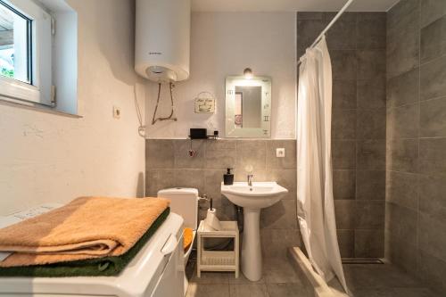 a small bathroom with a sink and a shower at Domek Masuria in Orzysz