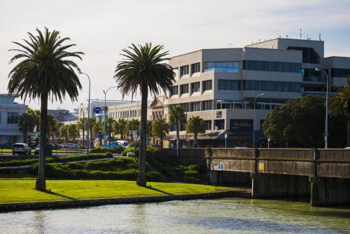 a river with palm trees in front of a building at Emerald Hotel in Gisborne