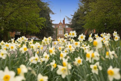 a field of daffodils in front of a building at Tylney Hall Hotel in Hook