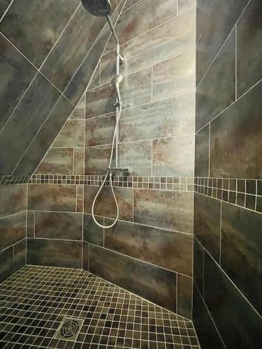 une douche avec pommeau de douche dans une salle de bain dans l'établissement Maison Les Écuries-Piscine-Castelnaud, à Castelnaud-la-Chapelle