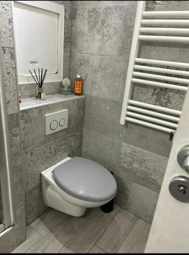 une salle de bain avec toilettes, lavabo et miroir dans l'établissement JOLI 2 PiECES AUX PIEDS DES PLAGES, à Cannes