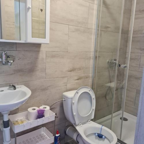 a bathroom with a shower and a toilet and a sink at Hauptmann5 in Waldmünchen